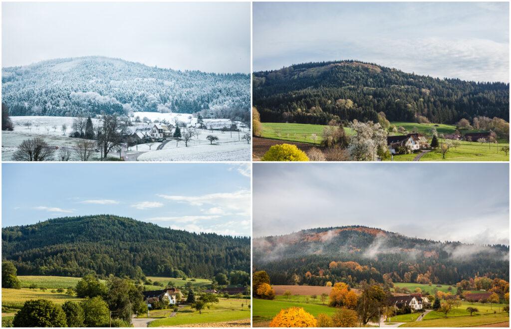 Die Senne Geheimnisse Der Natur Und Ihre Offnungszeiten Wann Ist Der Beste Zeitpunkt Fur Ihren Besuchfeed