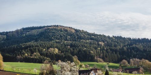 Frühling spring Jahrezeiten seasons