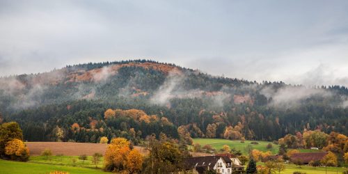 Herbst bunte Blätter Wald Jahreszeit