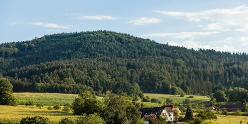 Sommer blauer Himmel Wiesen Wald blue sky summer