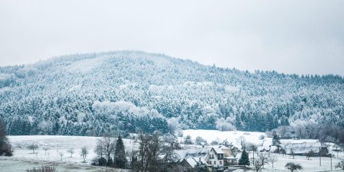 Winter Schnee weiß snow white december